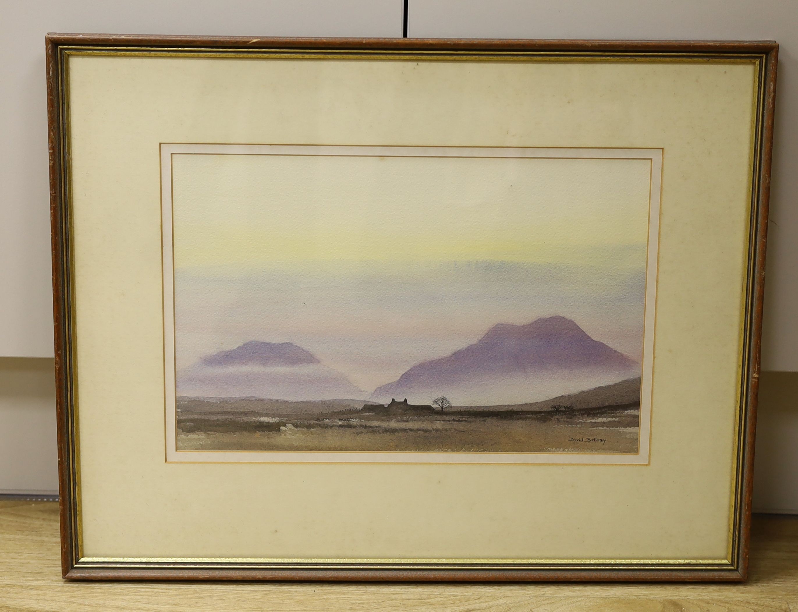 David Bellamy (20th C.), watercolour, 'Evening, Rhinog Mountains', signed, 23 x 35cm